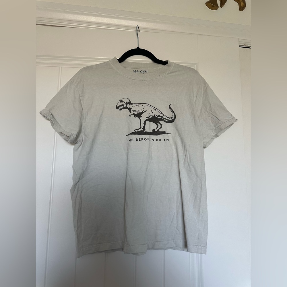 brandy dinosaur shirt